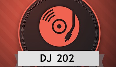 DJ 202